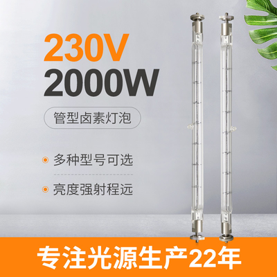 o dobro do tungstênio de 230V 2000W terminou ligações lineares do anúncio publicitário 215mm da lâmpada do halogênio