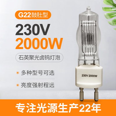 ampola terminada 3200k do halogênio da lâmpada de 230v 2000w G22 única 300Hours