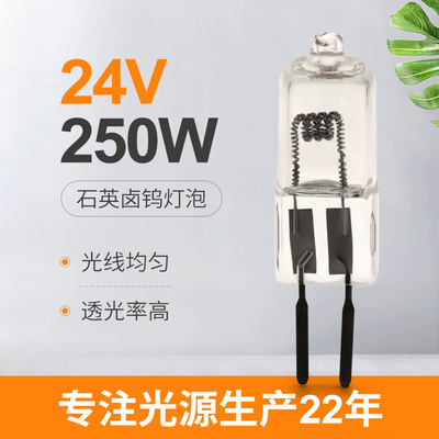 24V fase da lâmpada de projeção do halogênio do bulbo de quartzo de 250 watts que ilumina o soquete de 50hours GY6.35
